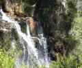 Environmental
