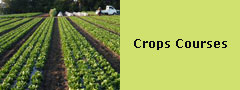 Crops Courses