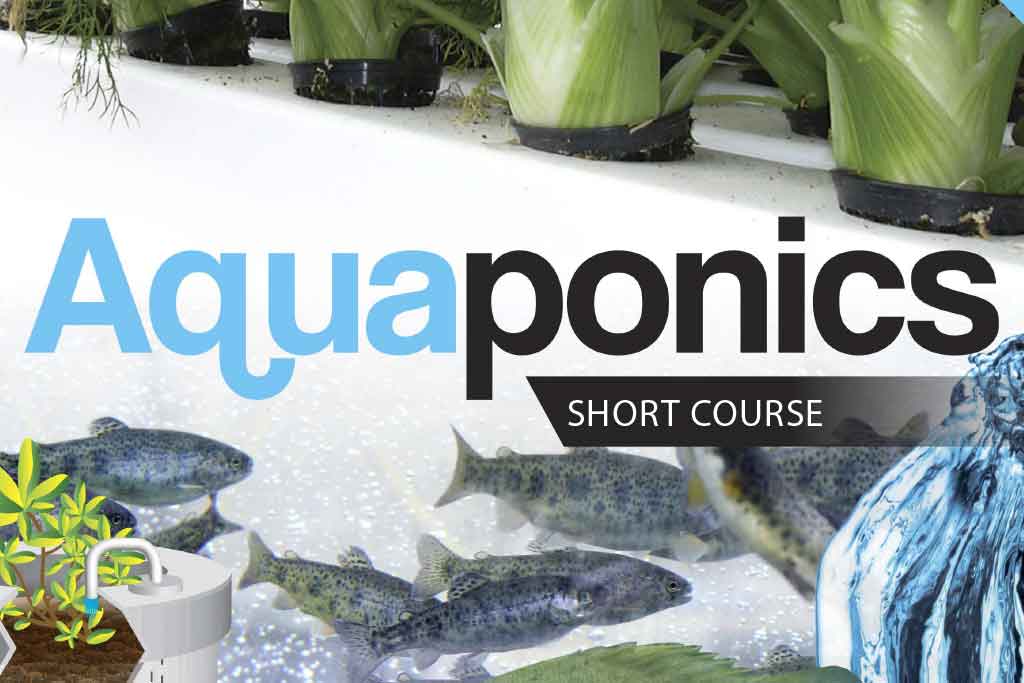 AQUAPONICS SHORT COURSE