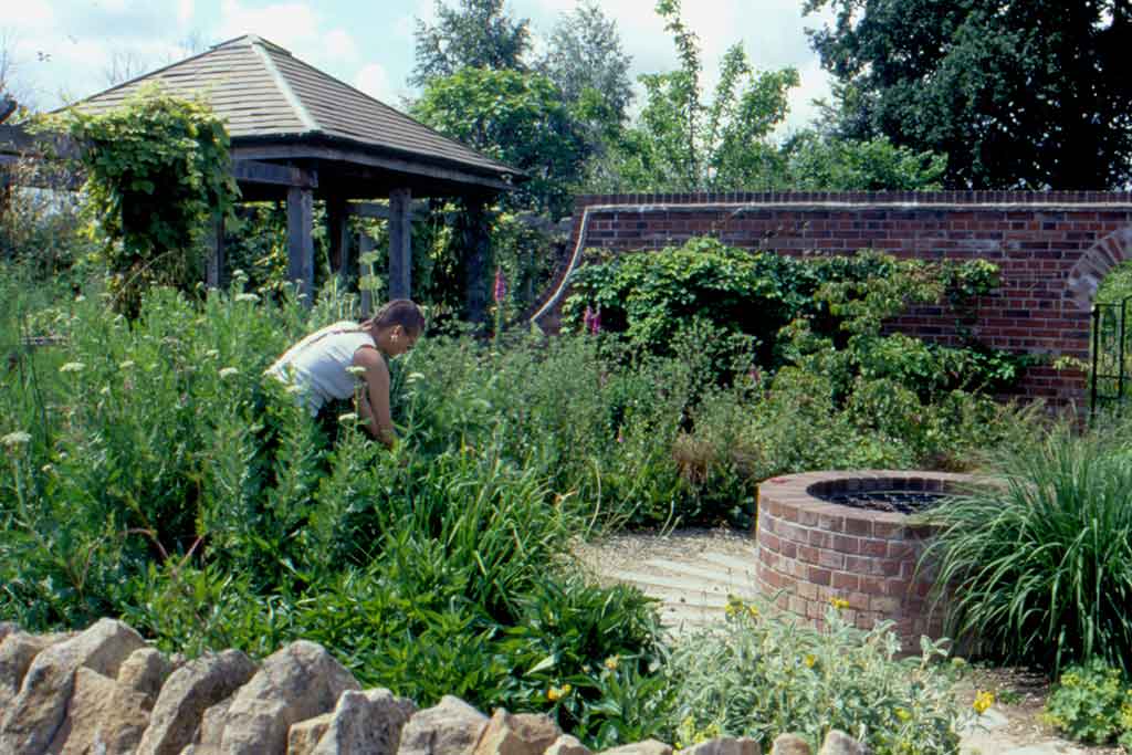 CERTIFICATE IN GARDEN MAINTENANCE