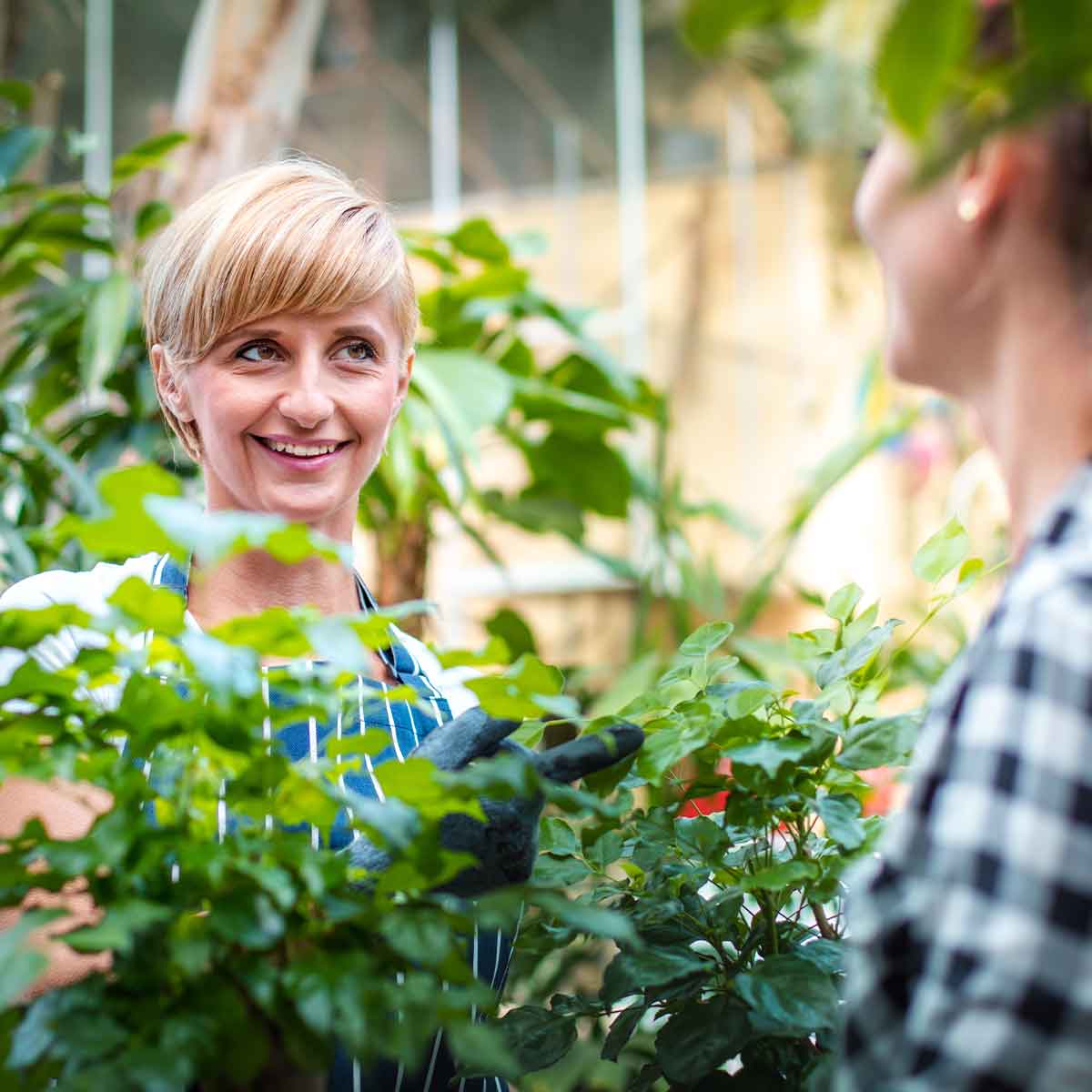 URBAN FARMING