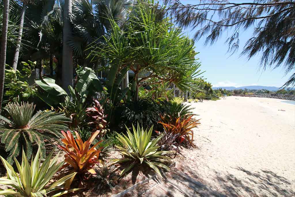 TROPICAL PLANTS