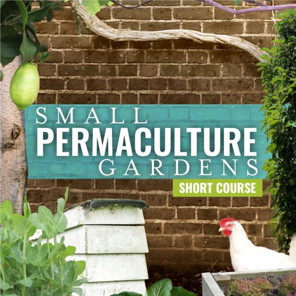PERMACULTURE FOR SMALL GARDENS