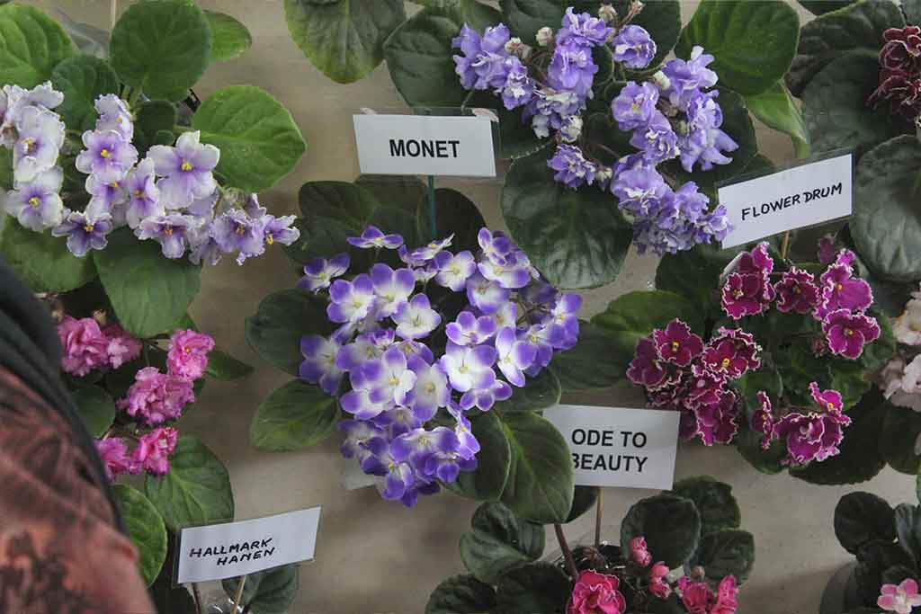 NURSERY GROWERS COURSE