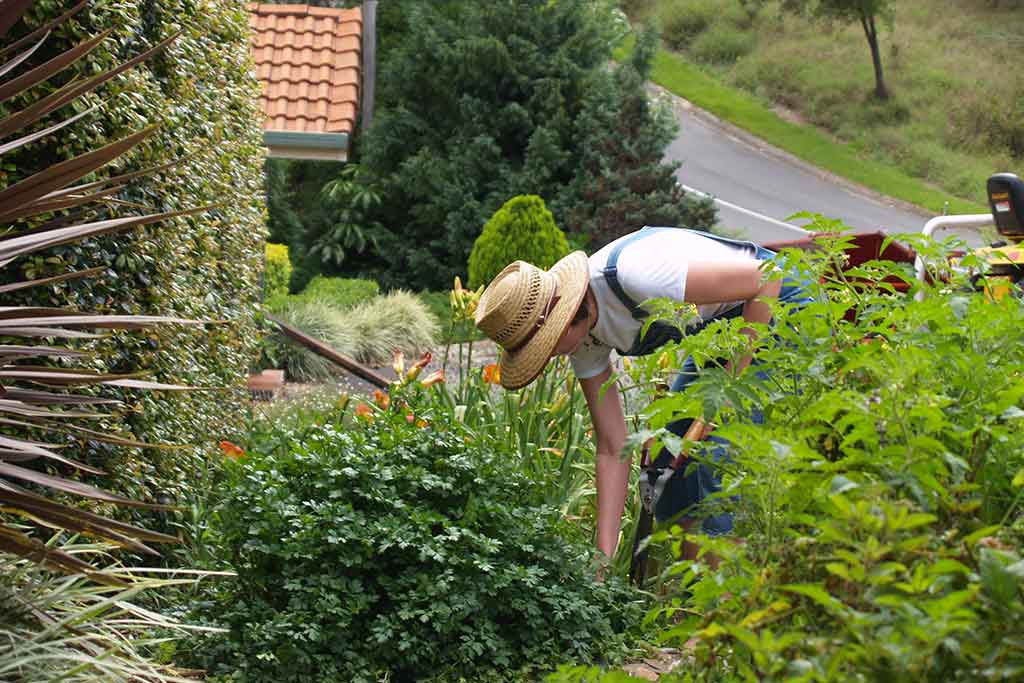 PROFESSIONAL DEVELOPMENT 2500 hour Learning Bundle for Horticulture - PARKS