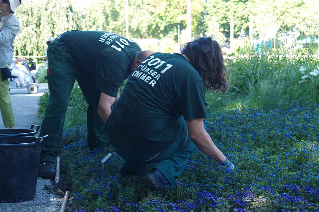 NURSERY HANDS COURSE 