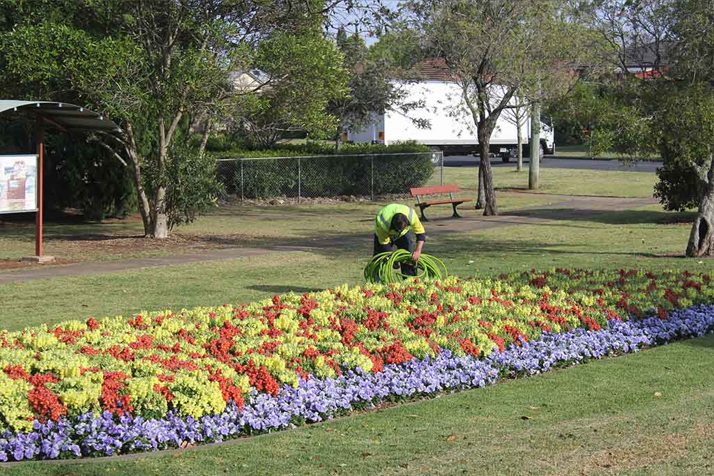 FOUNDATION CERTIFICATE IN HORTICULTURE VHT003