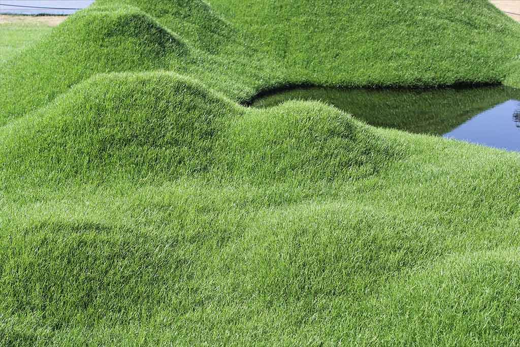 ADVANCED CERTIFICATE IN TURF CARE