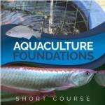Aquaculture Foundations