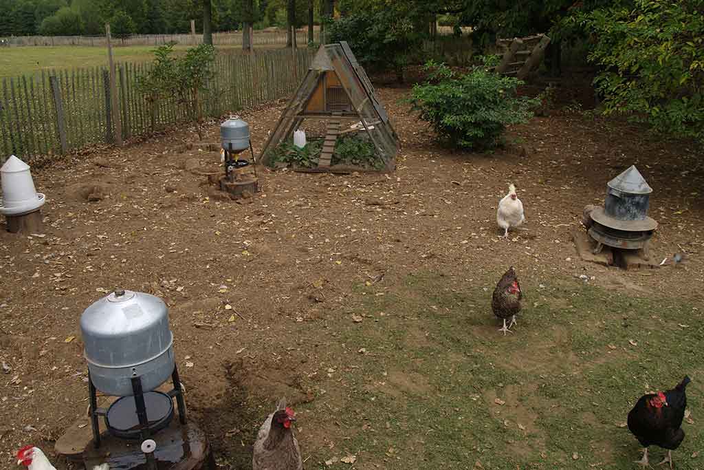 PERMACULTURE III (ANIMALS IN PERMACULTURE)