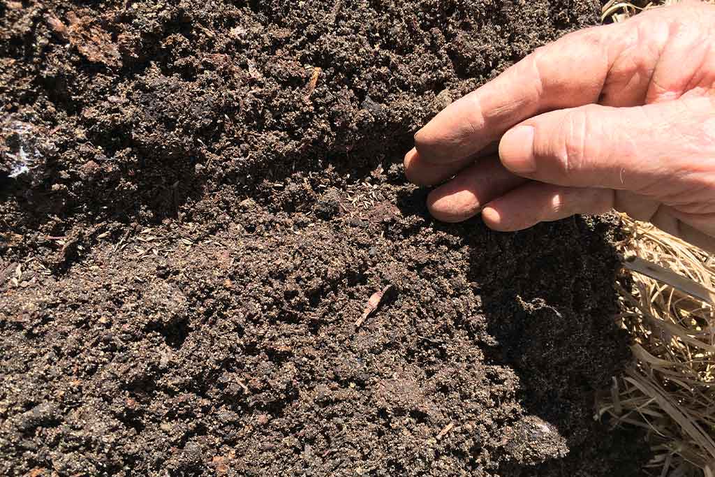 SOIL MICROBIOME MANAGEMENT