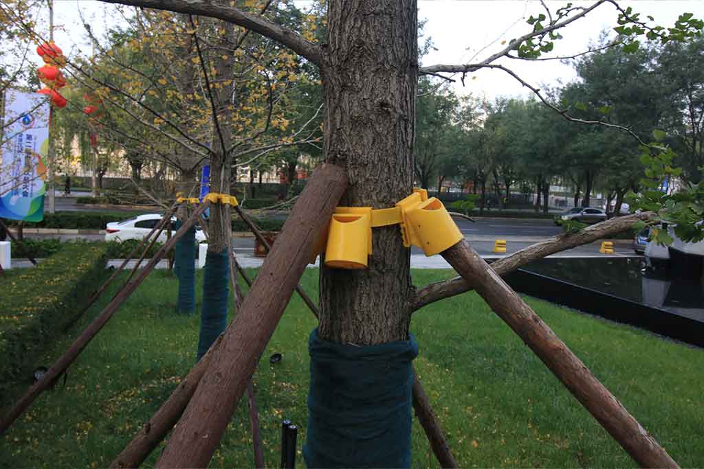 ARBORICULTURE II