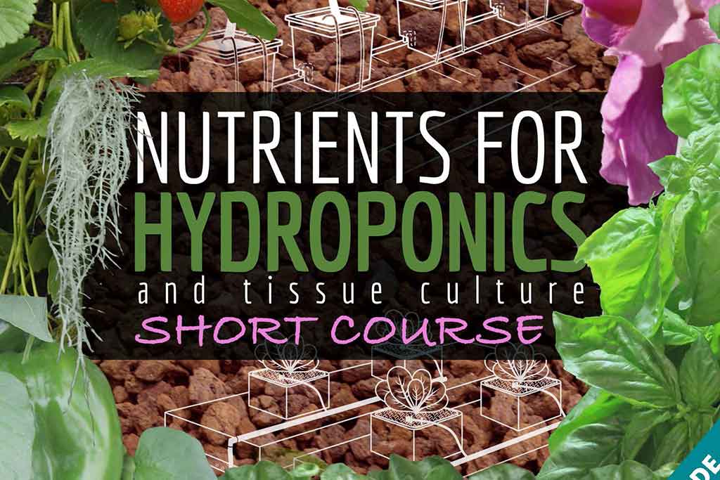 Nutrients for Hydroponics and Tissue Culture