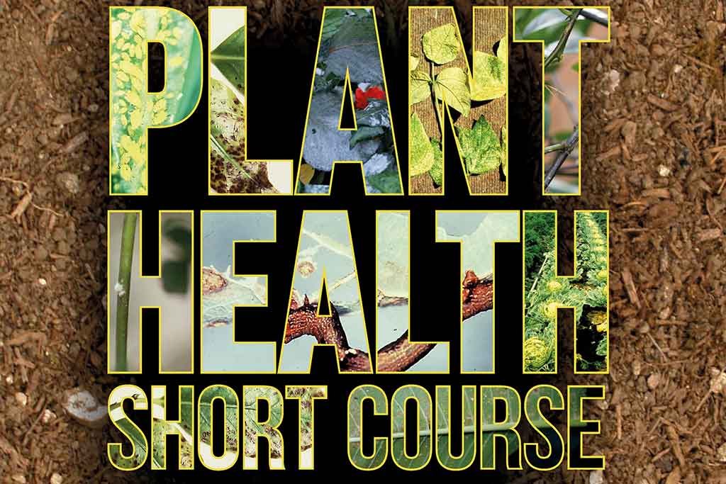 Plant Health