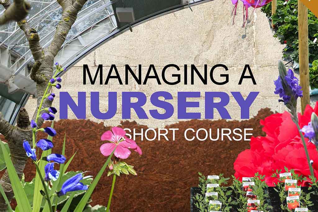Managing a Nursery