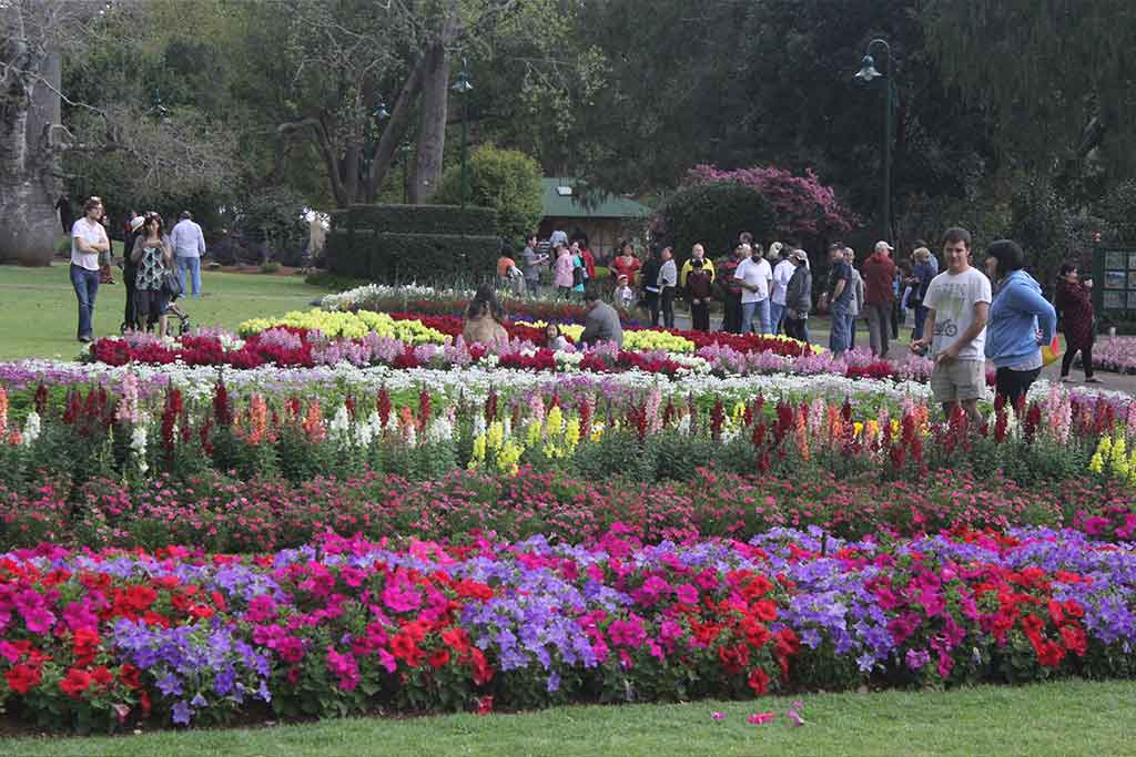 ADVANCED CERTIFICATE IN ORNAMENTAL HORTICULTURE