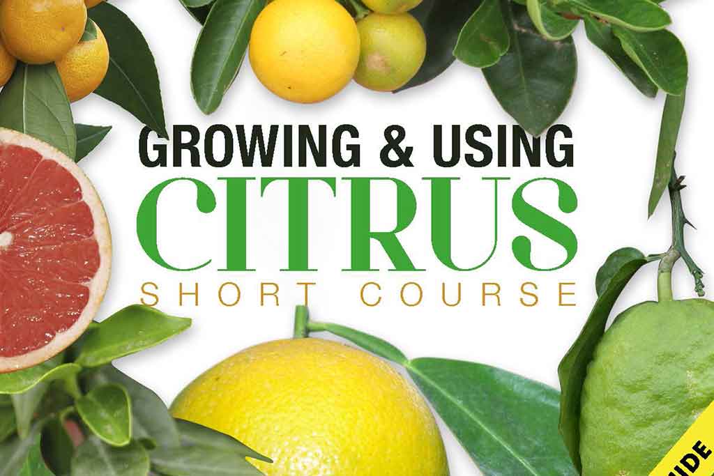 Growing and Using Citrus
