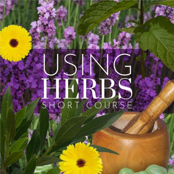 Using Herbs