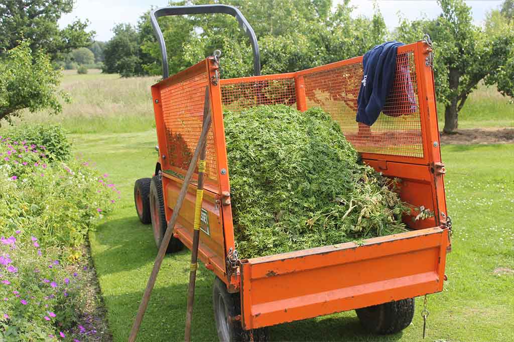 CERTIFICATE IN GROUNDS MANAGEMENT HORTICULTURE