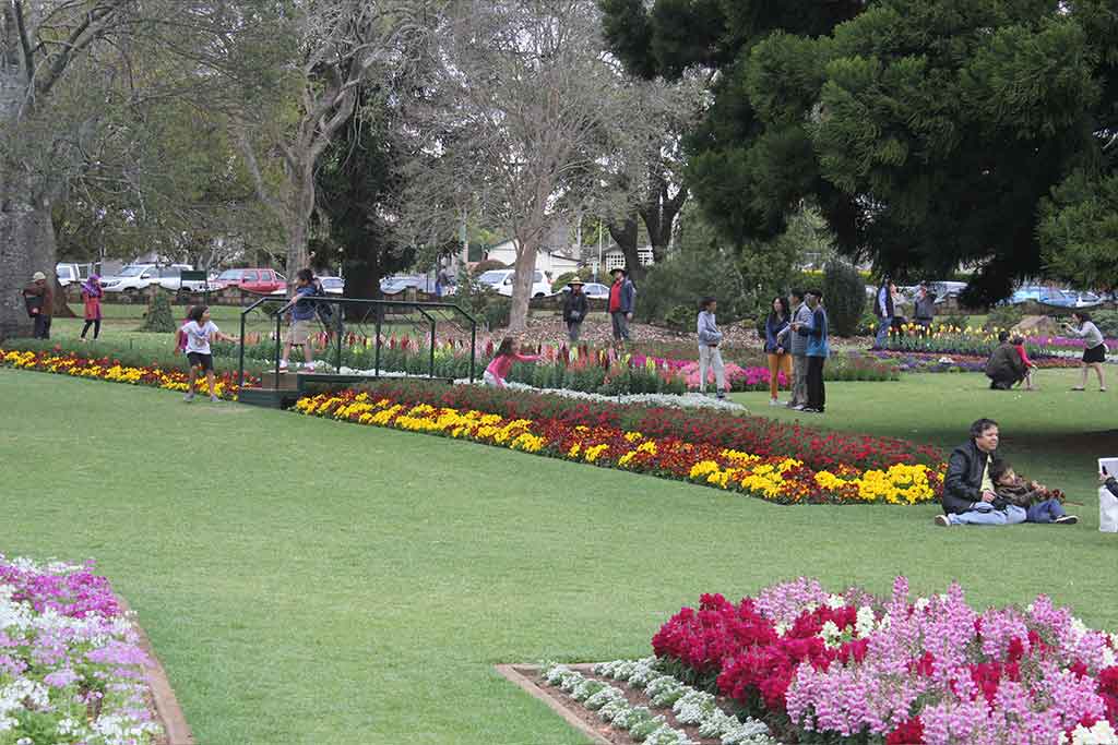 CERTIFICATE IN SOCIAL HORTICULTURE