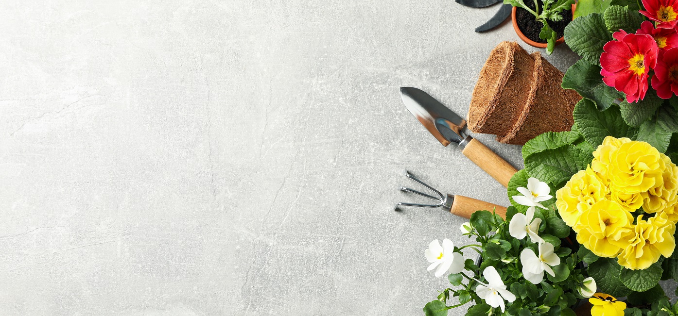 The Future of Garden Maintenance 