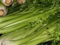 growing food courses.